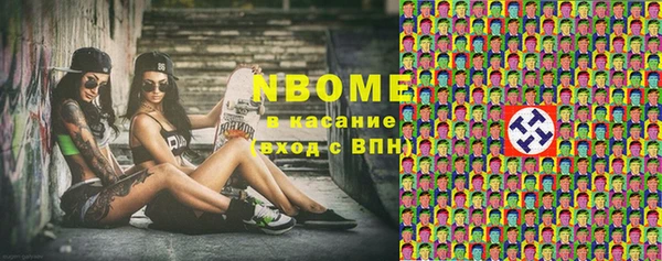 apvp Иннополис