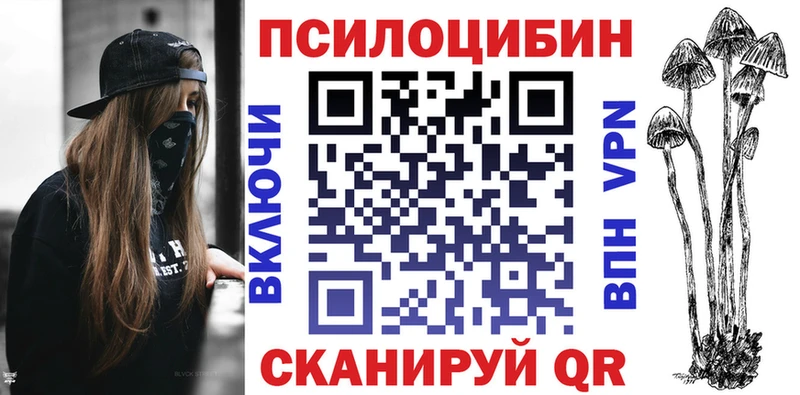 Псилоцибиновые грибы Psilocybe  Вилючинск 
