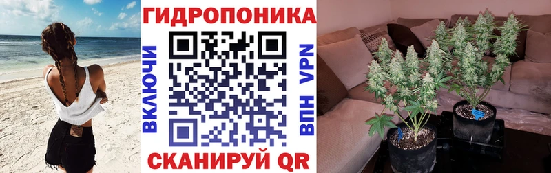 что такое наркотик Вилючинск Бошки Шишки Amnesia